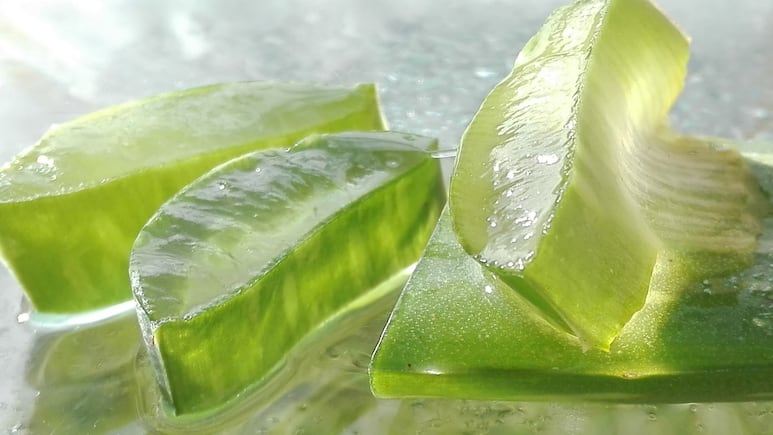 Aloe vera: 5 usos de la sábila en el maquillaje que tal vez no sabías
