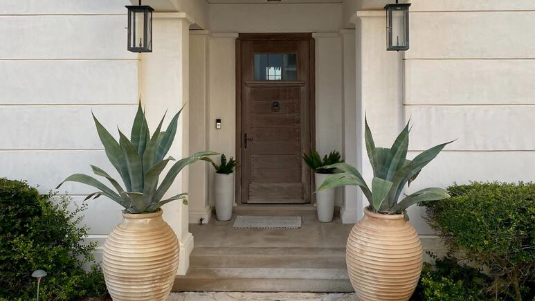 Feng Shui: esta es la forma correcta de poner plantas en la entrada de tu casa para atraer DINERO