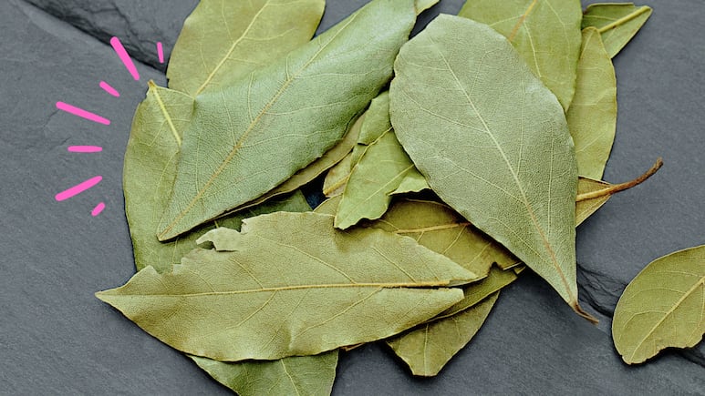 Feng Shui: 3 lugares donde debes guardar el laurel para atraer riqueza