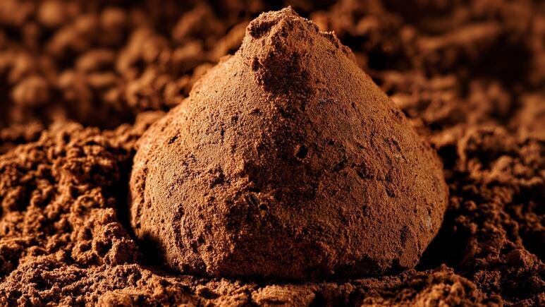 Jardinería: ¿Cómo hacer un potente fertilizante casero con cocoa?