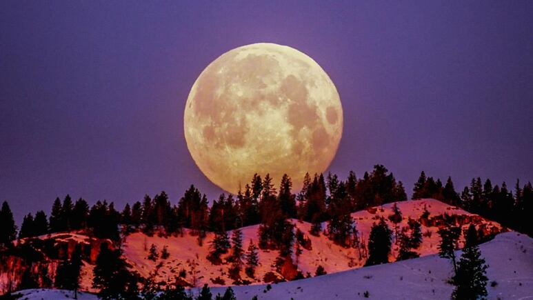 Año Nuevo Lunar
