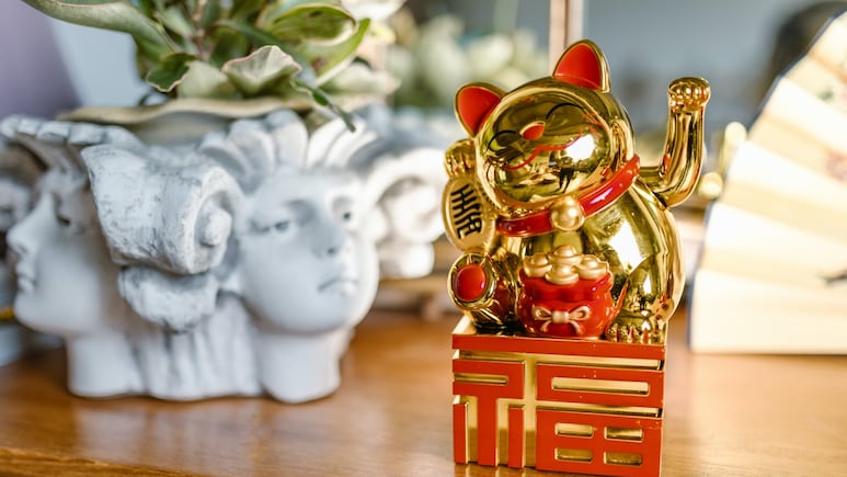 Feng Shui: 3 formas fáciles de atraer dinero con laurel