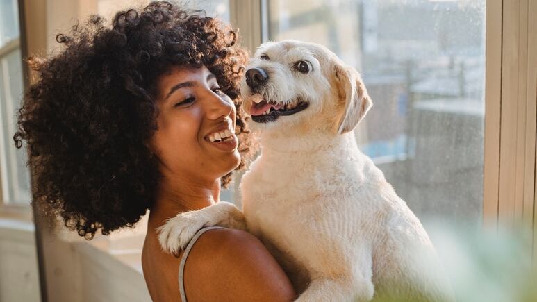 ¡No estás alucinando! Tu perro SÍ te sonríe cuando está MUY feliz; revela estudio