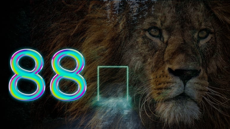 que-es-como-manifestar-portal-leon-88