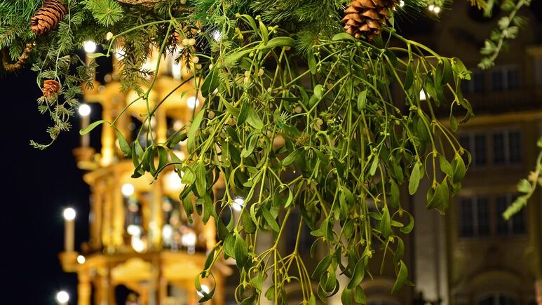Muérdago de Navidad: ¿Qué significa y en dónde colocarlo para atraer la buena suerte según el Feng Shui?