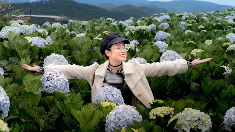 Cambia el color de tus hortensias con este sencillo tip de jardinería