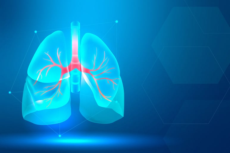 pulmones