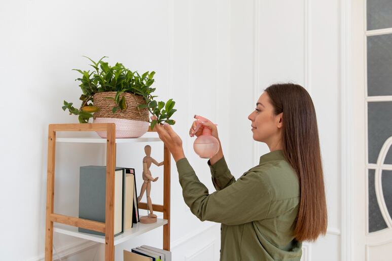 plantas