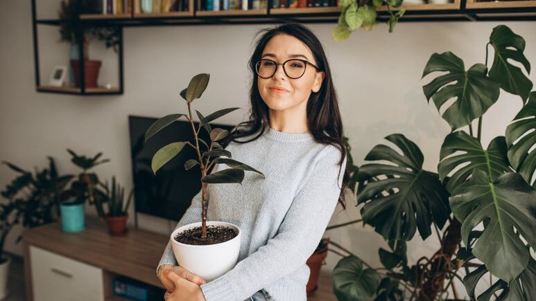 Feng Shui: 3 plantas que son fáciles de cuidar y que Sí atraen la buena suerte