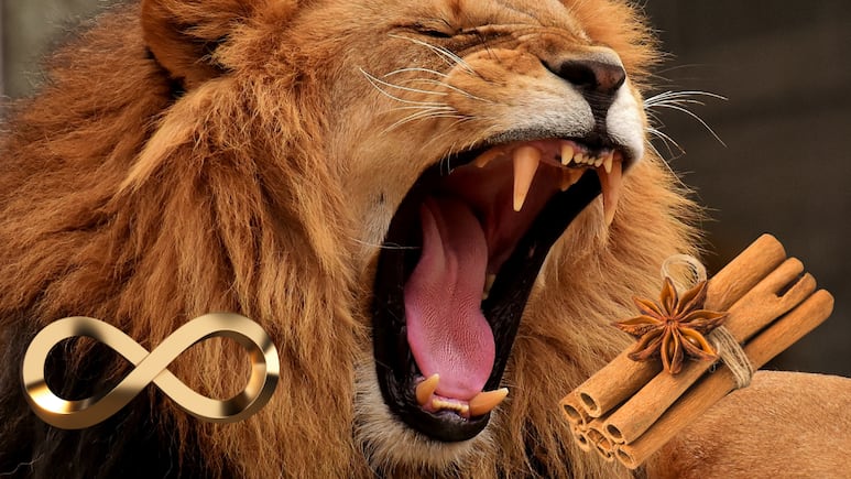 manifestar-canela-portal-leon-8-8