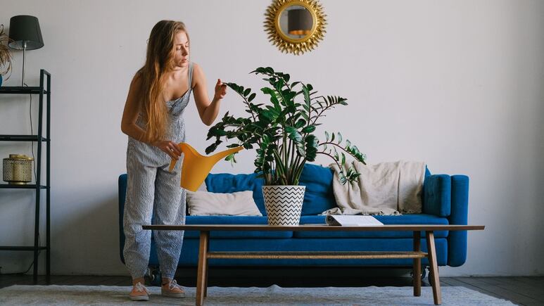 Evita que tus plantas en maceta se marchiten con esta técnica de jardinería para regar