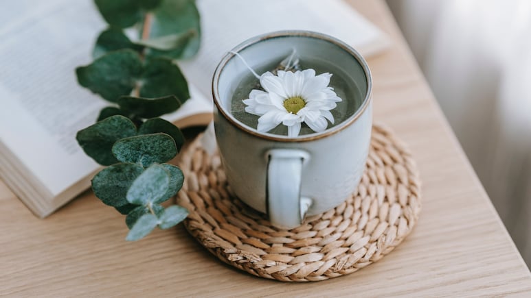 Plantas medicinales: ¿Cuál es la mejor infusión para hacer crecer el cabello, pestañas y uñas?