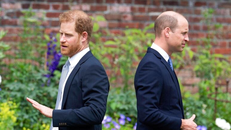 Revelan la conversación de William y Harry durante la develación de la estatua de Lady Di