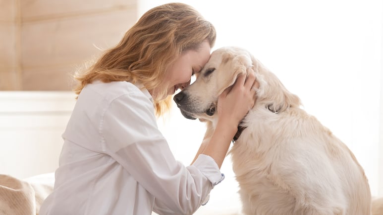 ¿Qué significa que prefiero a mi mascota antes que mi pareja?