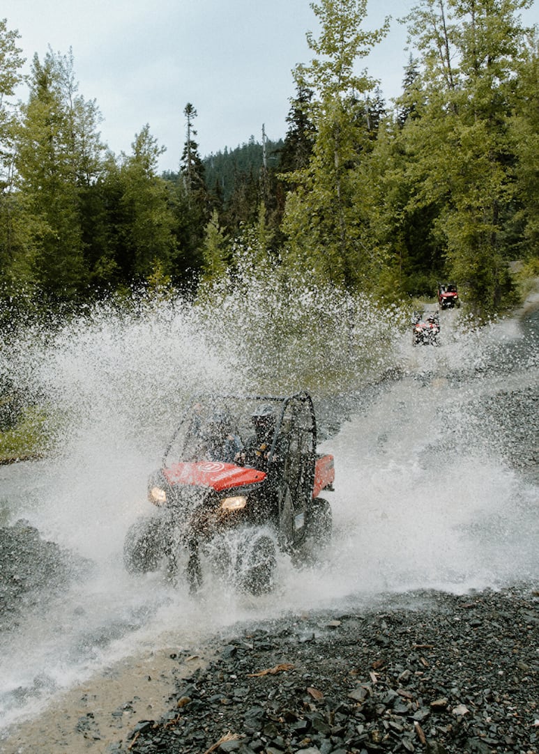 Whistler