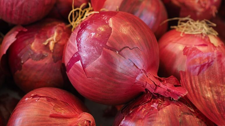Plantas: Prepara abono casero con cebolla FÁCIL Y RÁPIDO