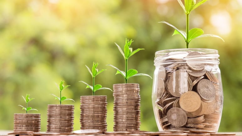 Jardinería: Truco fácil con monedas para hacer crecer y florecer tus plantas