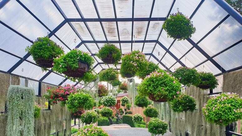 Decoración de interiores: ¿Cómo hacer un jardín colgante en casa?