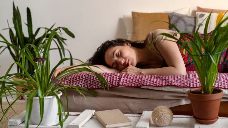 ¿Es malo tener plantas dentro del cuarto? Así podrían impactar tu sueño