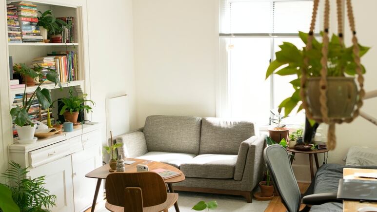 Feng Shui: 4 plantas que debes tener en tu sala durante el verano para la buena suerte