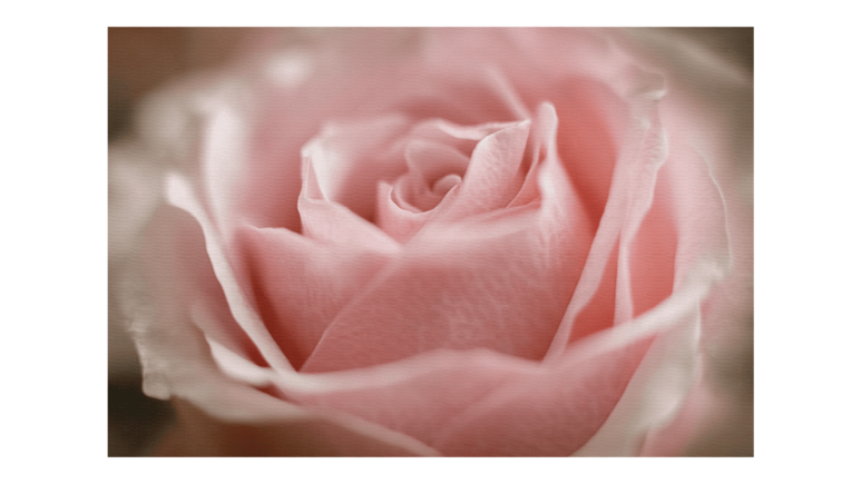 Flores según el mes de nacimiento