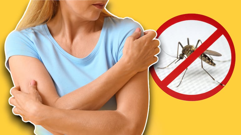 Protegida del mosquito con colores inteligentes